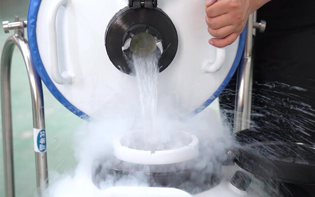 細(xì)胞存儲(chǔ)罐預(yù)冷需要裝多少液氮？