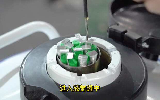 液氮存儲(chǔ)罐配的提桶可以放凍存管嗎？